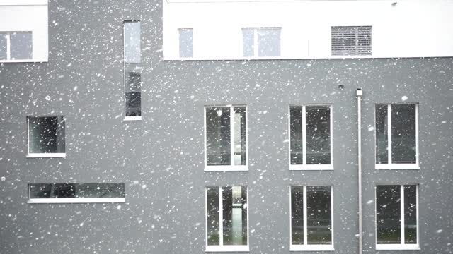Snowfall snow snowflakes