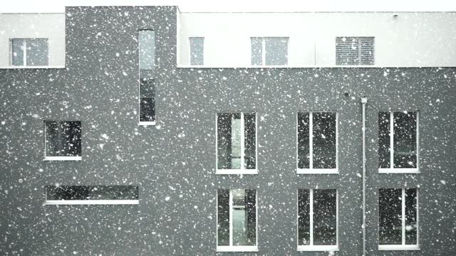 Snowfall snow snowflakes