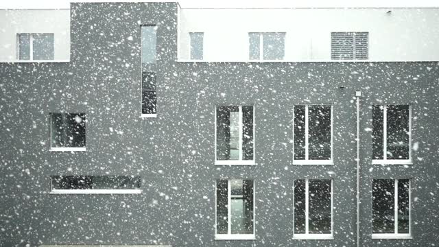 Snowfall snow snowflakes