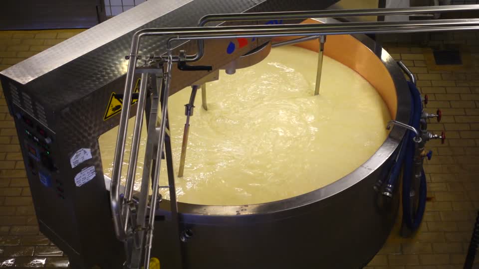 Cheese manufacturing cheese making