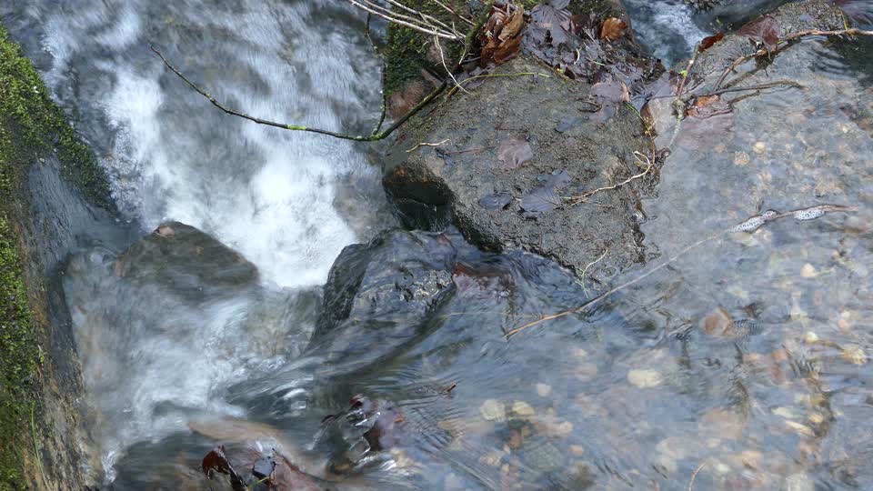 Stream brook water