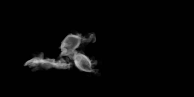 Ghost shadow spirit