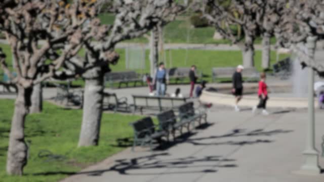 Park man walking