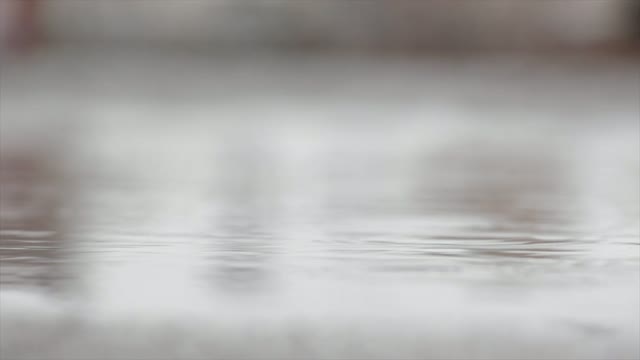 Puddle water rain
