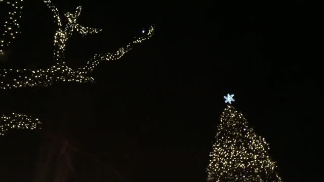 Merry christmas xmas christmas tree