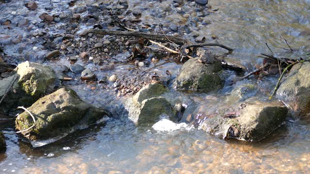 Stream brook water