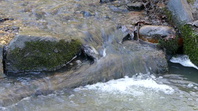 Stream water brook