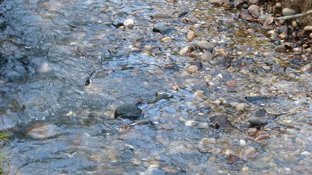 Water stream brook