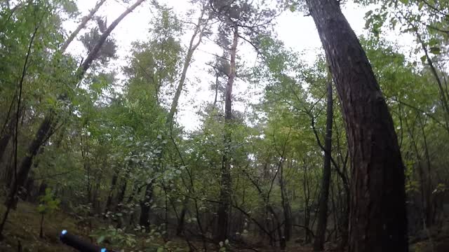 Mountain bike mountain nature