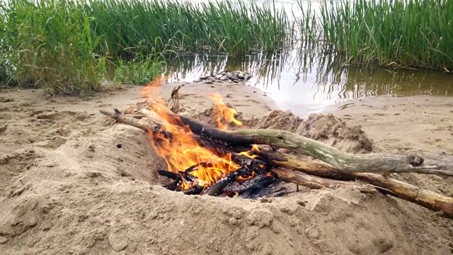 Bonfire beach campfire