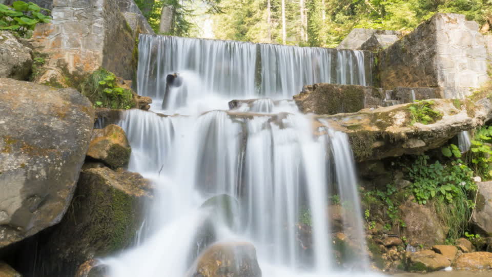 Waterfall cascade forest