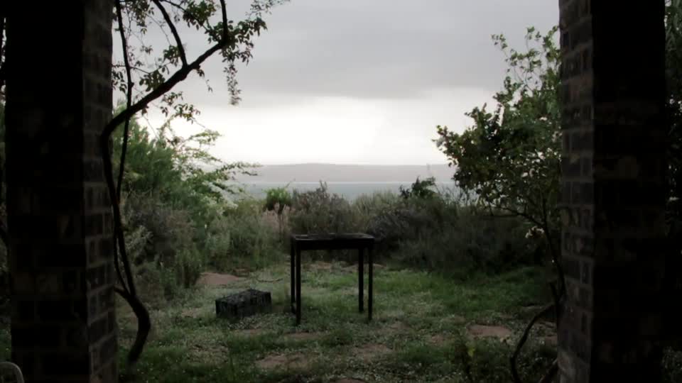 Backyard stormy weather