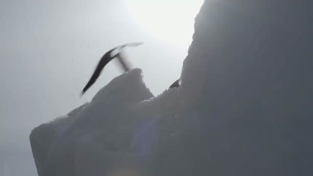 Mountaineering ice climbing ice climber