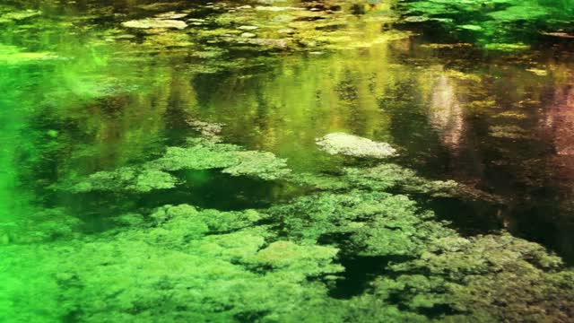 Toxic waste sea
