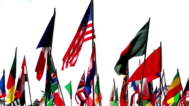 Flags waving world