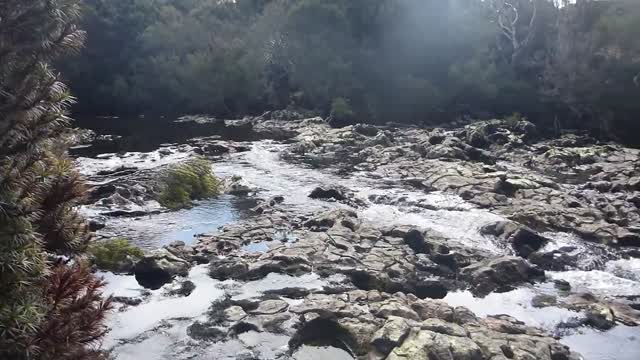 Stream creek water