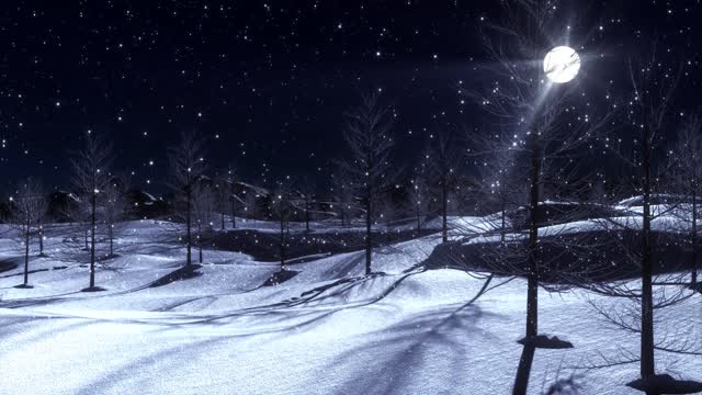 Snowfall winter winter landscape