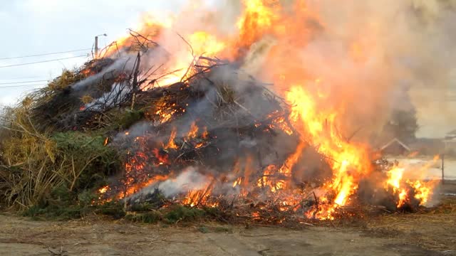 Bonfire fire flame