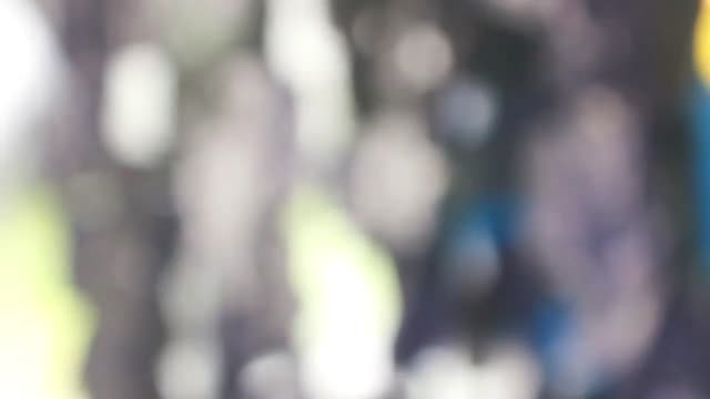 Bokeh background blurred