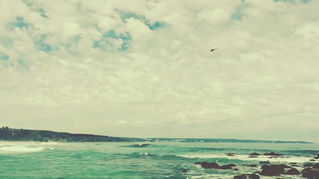 Ocean beach coast