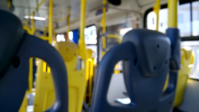 Buses daily public transportation