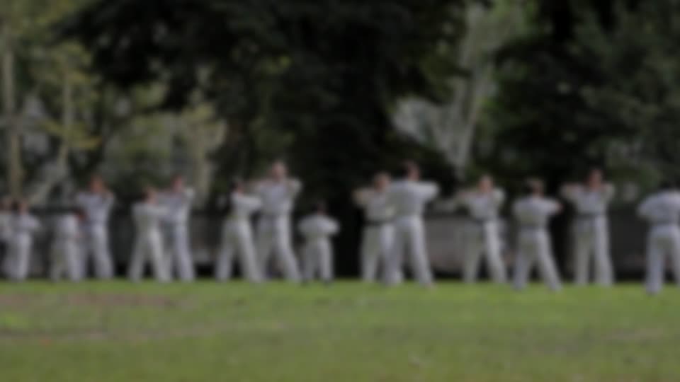 Karate martial arts blur