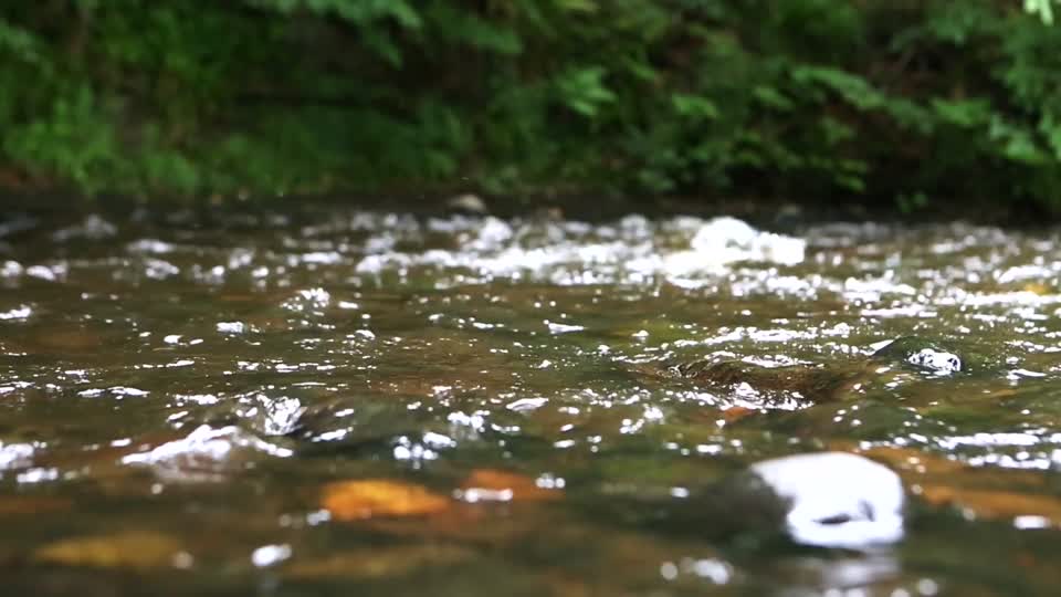 Water river stream