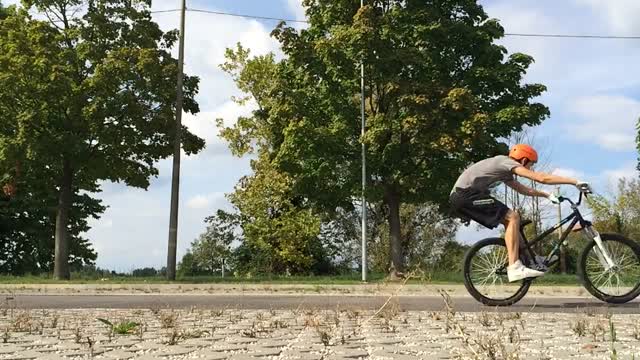 Bike bicycle transport