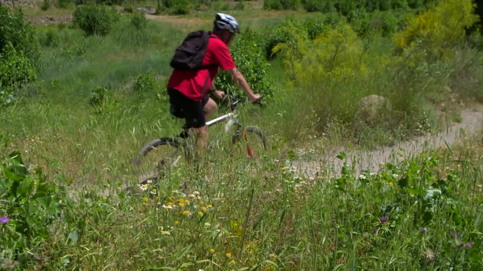 Biking mountainbiking tour