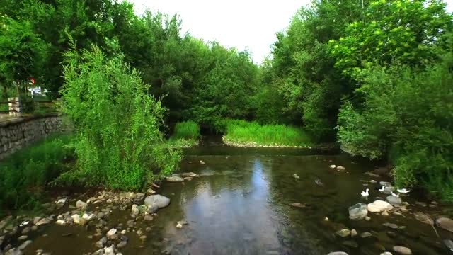 River stream water