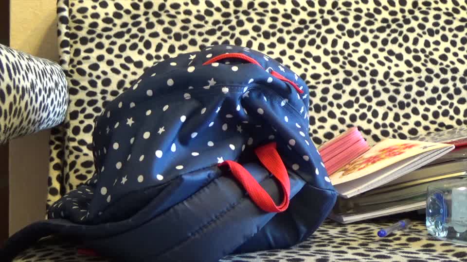 Funny cat cat backpack