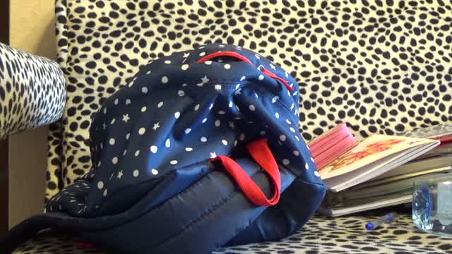 Funny cat cat backpack