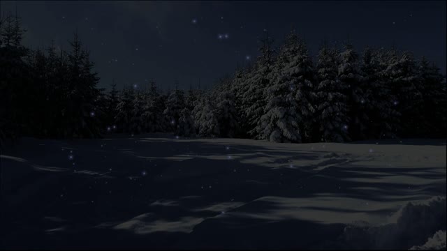 Christmas greeting christmas tree shine