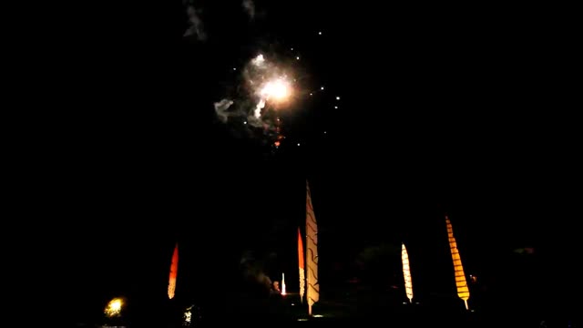 Fireworks sparkles shower of sparks