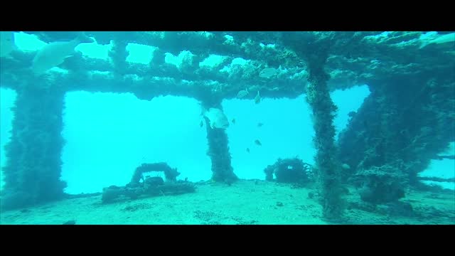 Wreck diving sunken ship