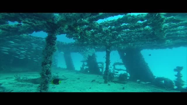 Wreck diving sunken ship