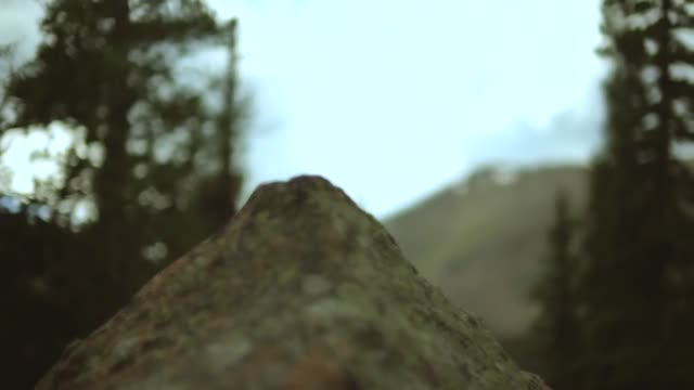 Outdoors hiking path
