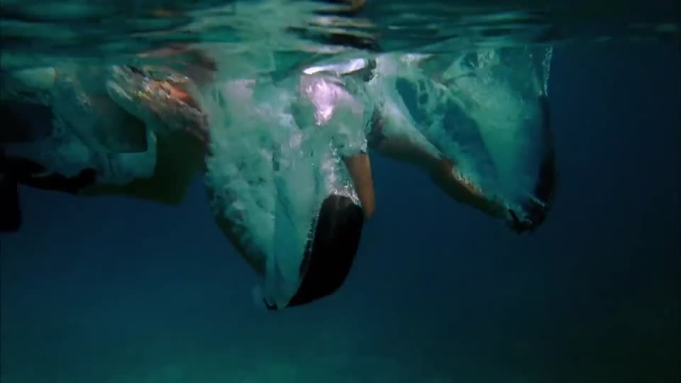 Scuba diving diving sport