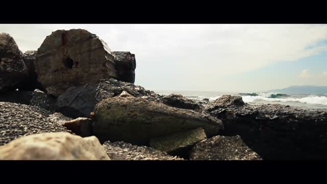 Seaside coast rocks