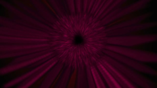 Black hole wormhole symmetrical