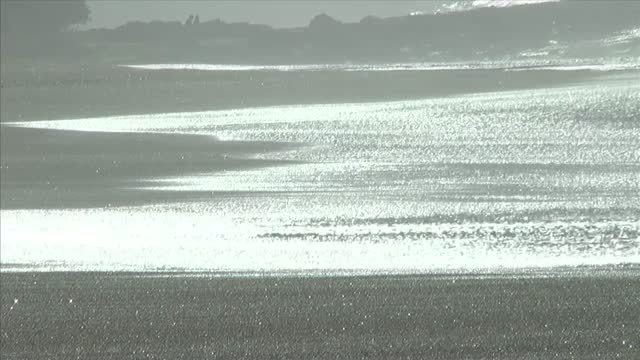 Sea beach ocean