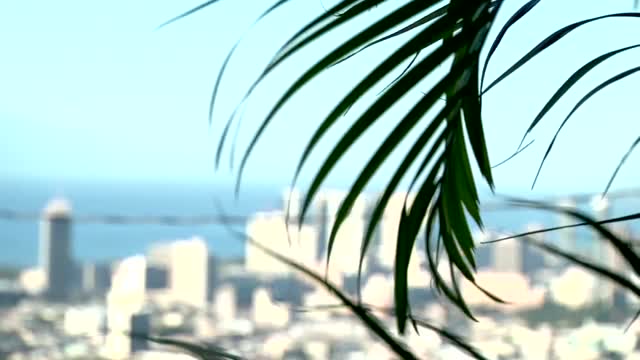 Holiday vacation resort resort