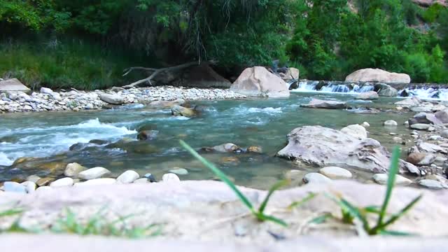 Creek river stream