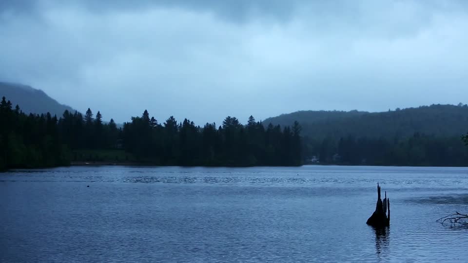 Lake clouds forest