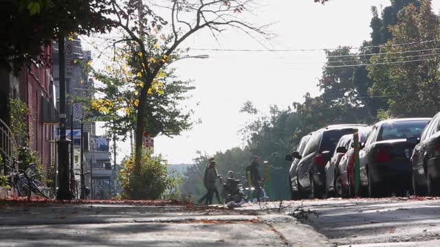 Bicycles vehicles pedestrians