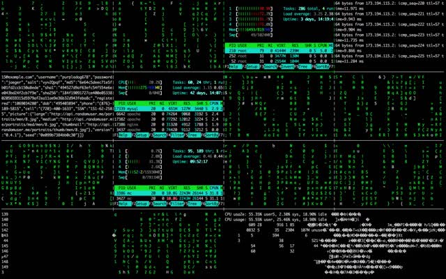 Source code monitor display