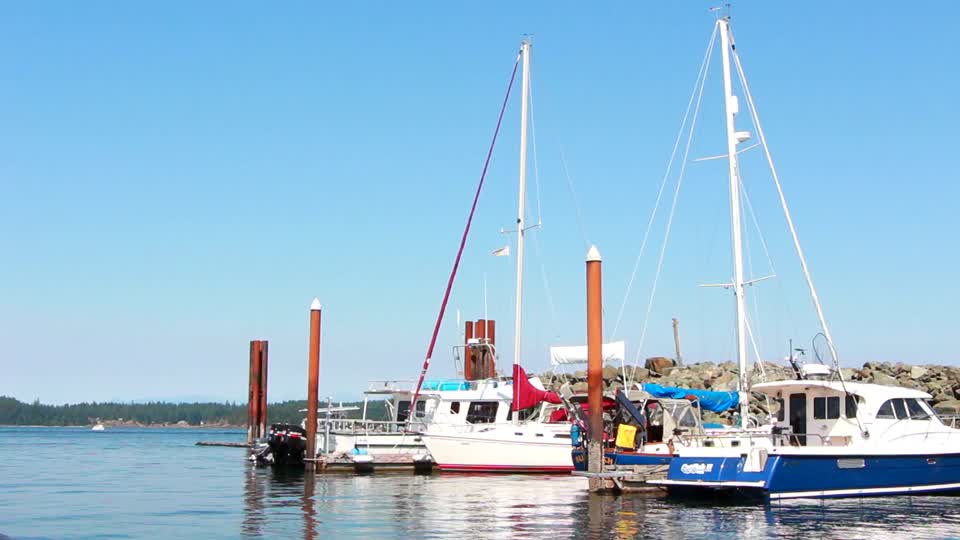 Harbor port sailing boats