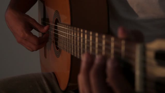 Guitarist acoustic guitar musical instrument