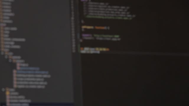 Program developing programming language