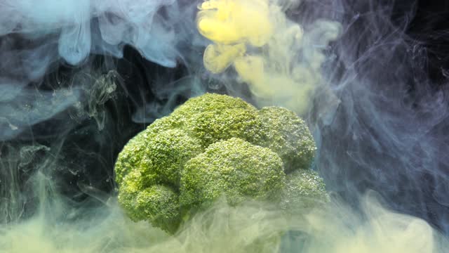 Broccoli vegetable green
